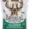 imperial-whitetail-clover